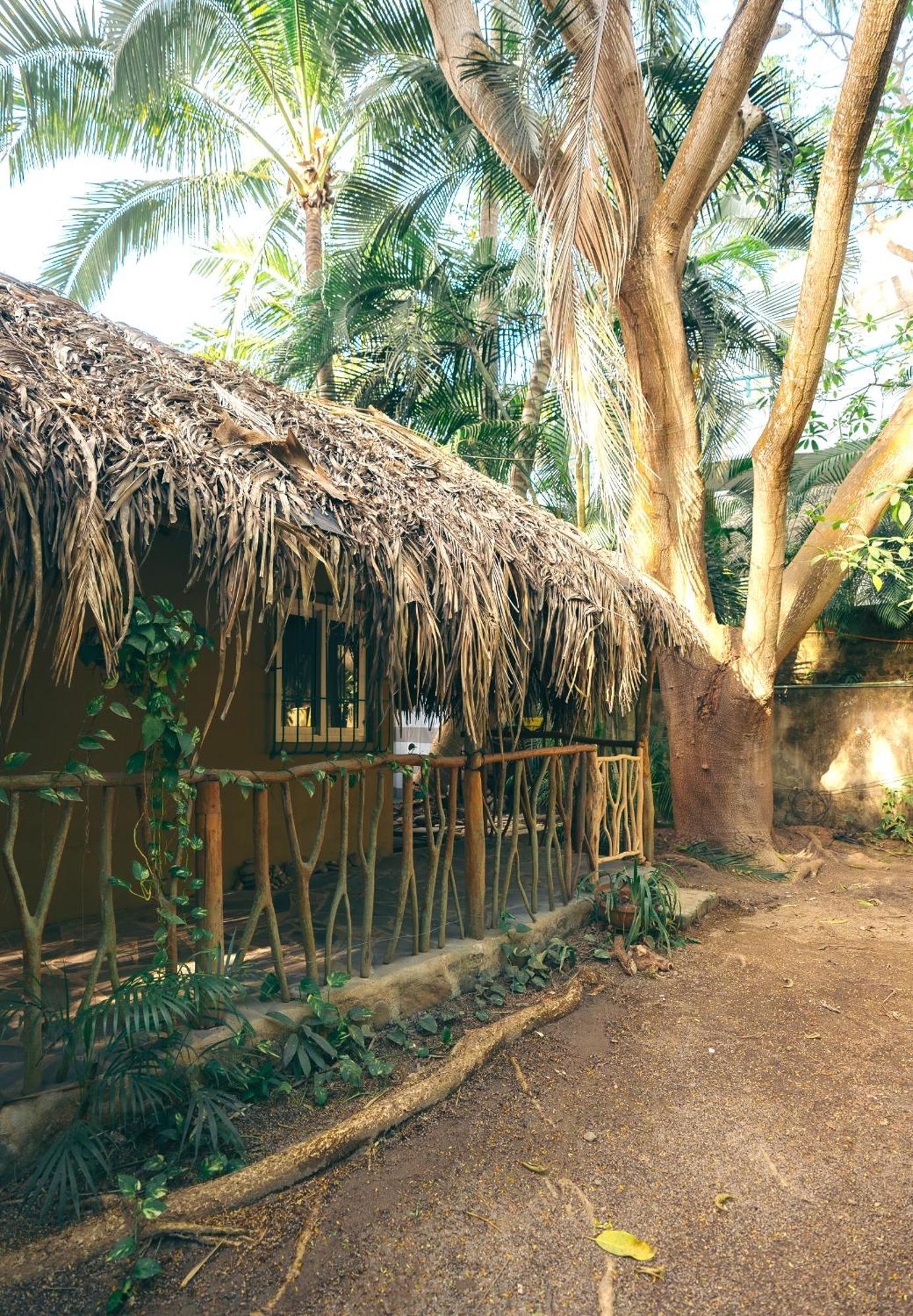 Junto Al Rio Bungalows & Suites Sayulita Bagian luar foto