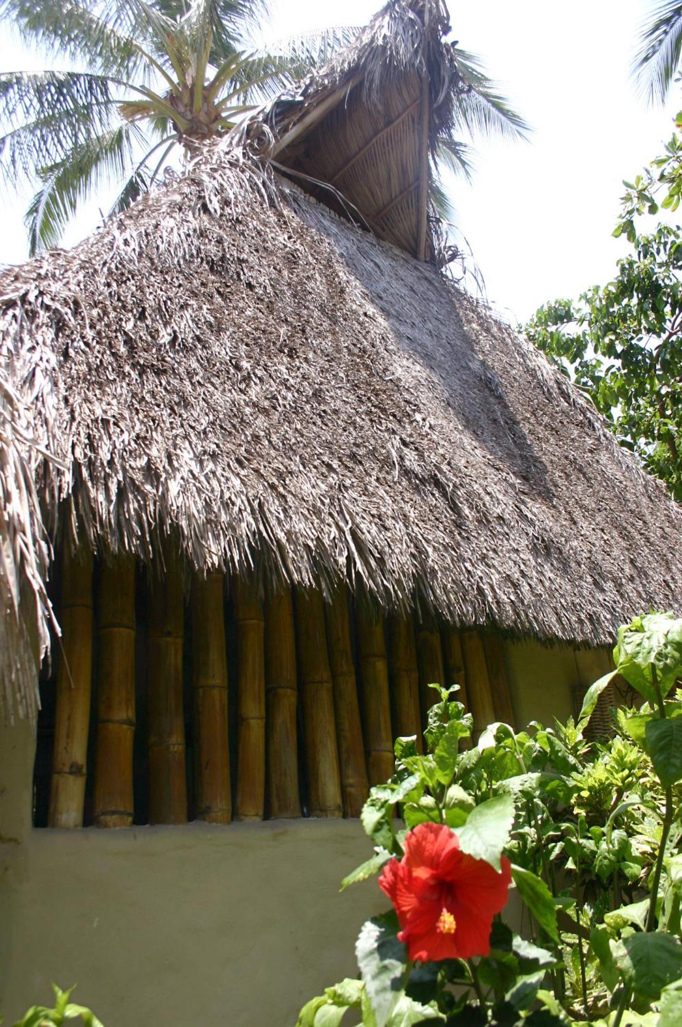 Junto Al Rio Bungalows & Suites Sayulita Bagian luar foto