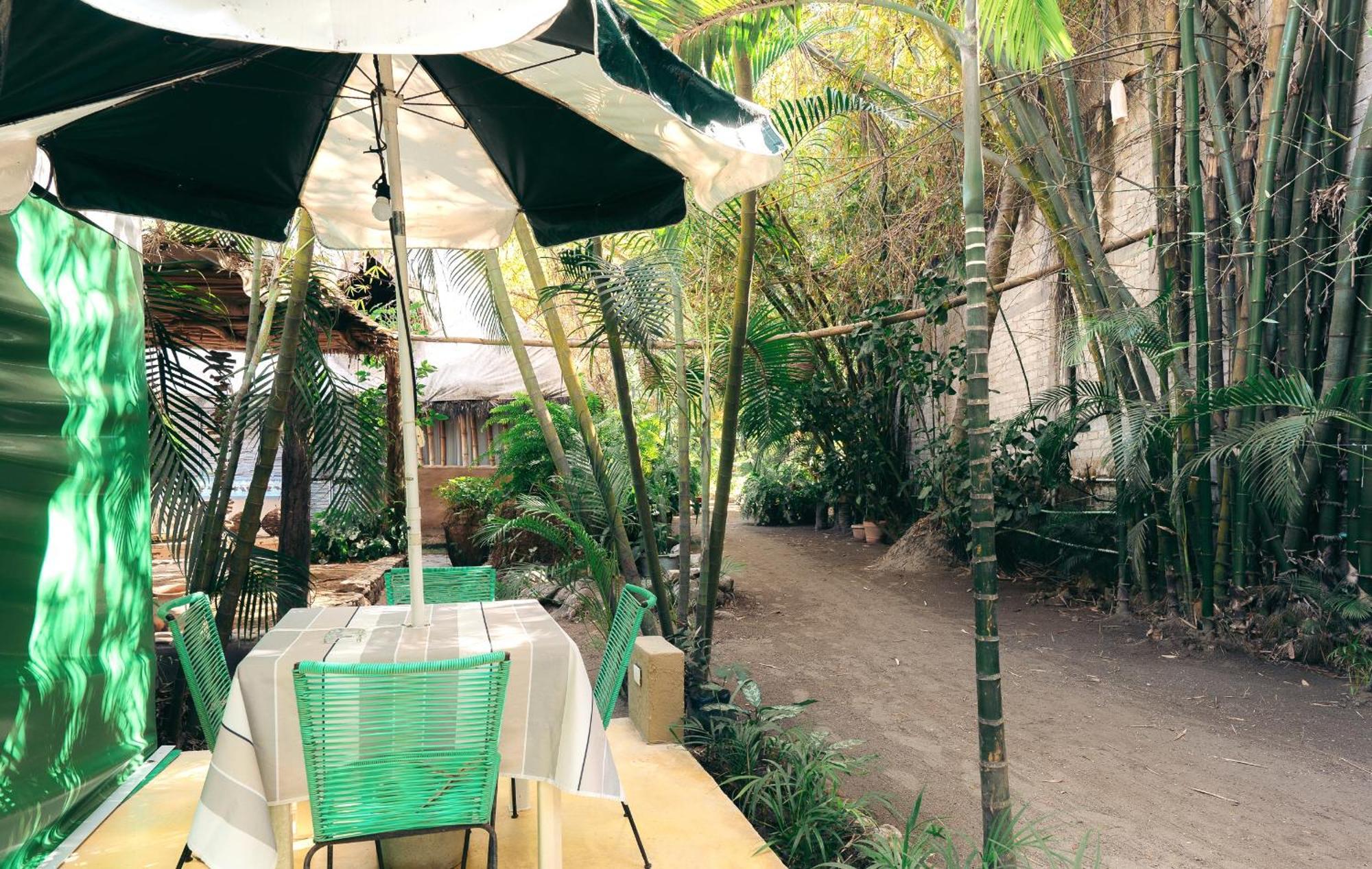 Junto Al Rio Bungalows & Suites Sayulita Bagian luar foto