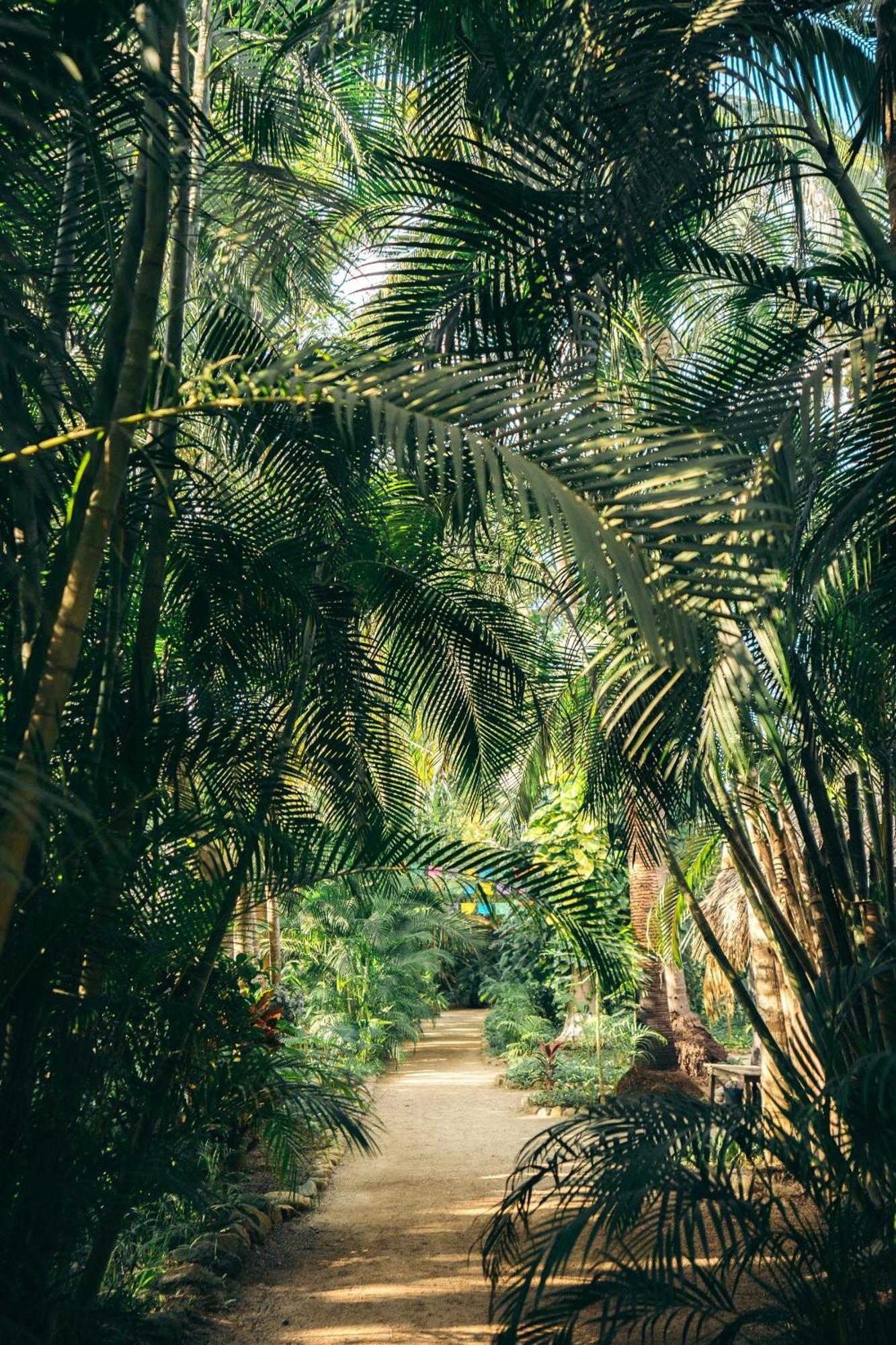 Junto Al Rio Bungalows & Suites Sayulita Bagian luar foto