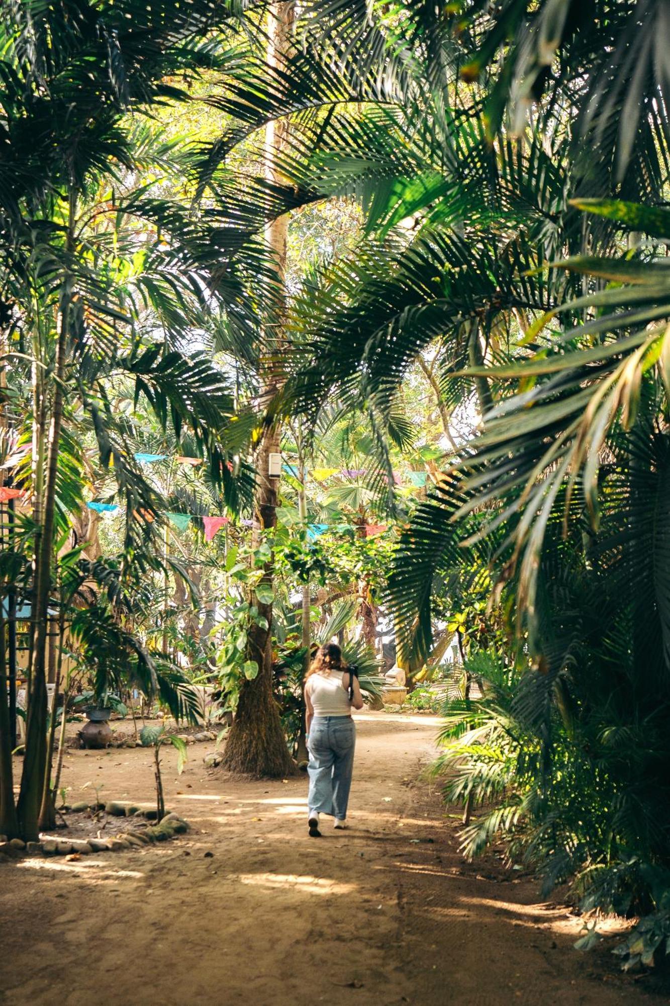 Junto Al Rio Bungalows & Suites Sayulita Bagian luar foto