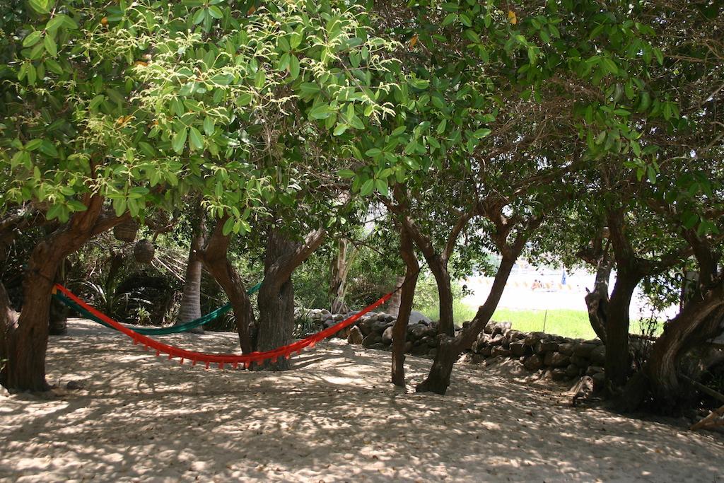 Junto Al Rio Bungalows & Suites Sayulita Bagian luar foto